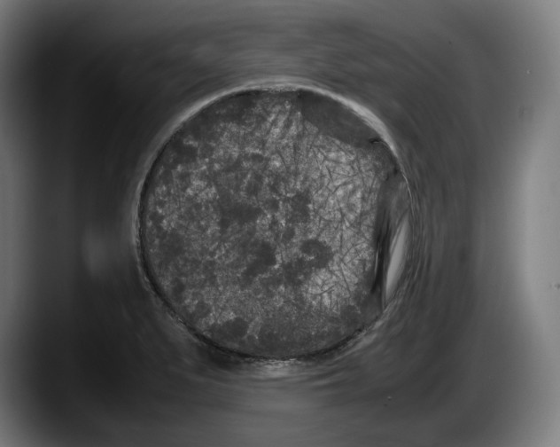X0000087581279200705251833