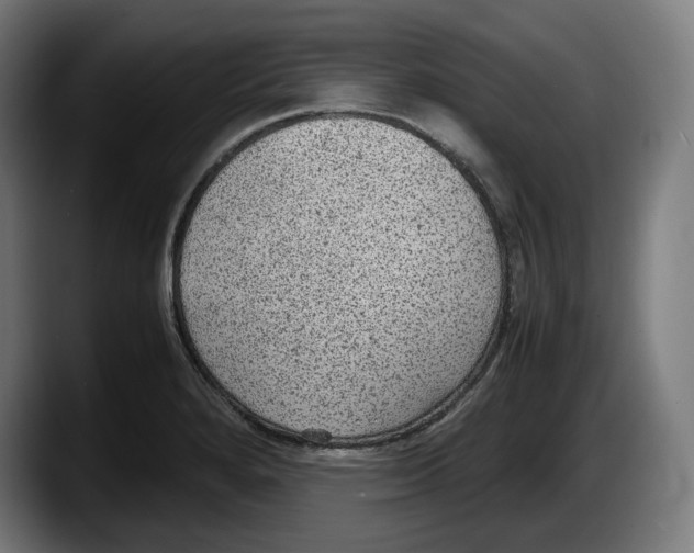X0000087581280200705251833