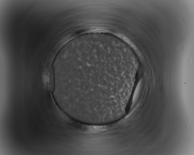 X0000087581281200705251833