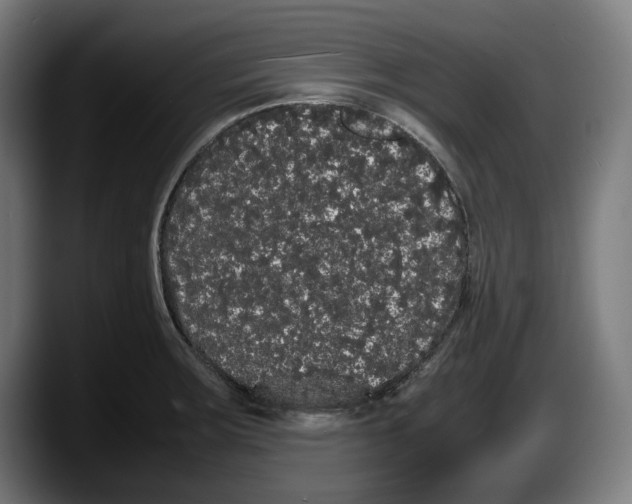 X0000087581283200705251833