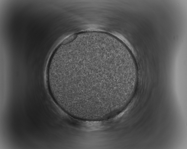 X0000087581285200705251833