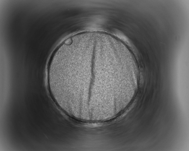 X0000087581286200705251833