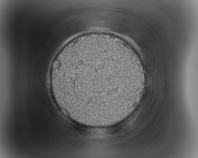 X0000087581287200705251833