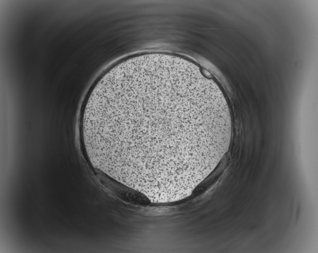 X0000087581288200705251833