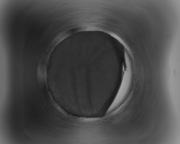 X0000087581289200705251833