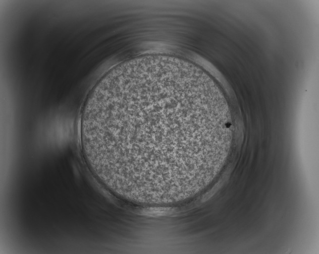 X0000087581290200705251833