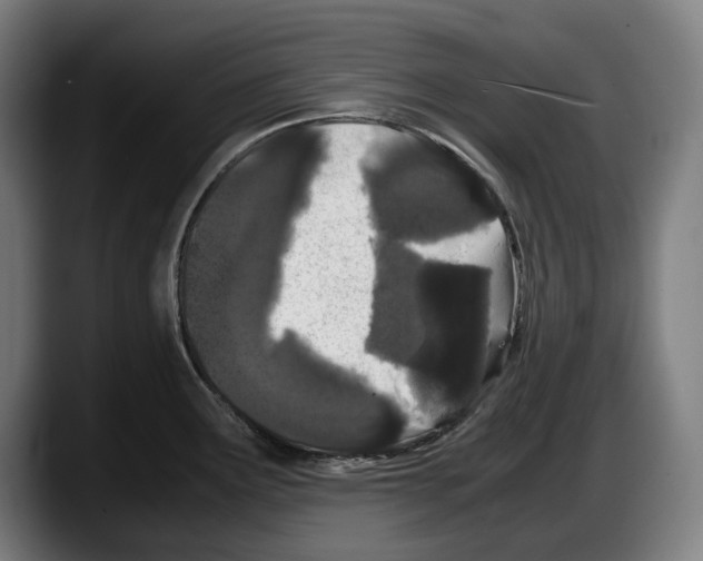 X0000087581291200705251833