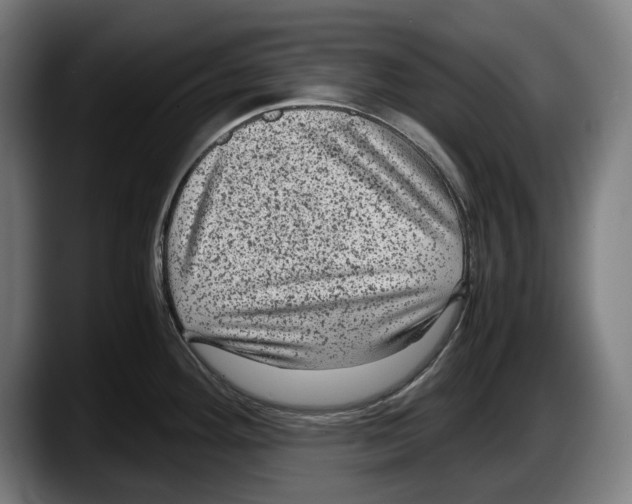 X0000087581292200705251833