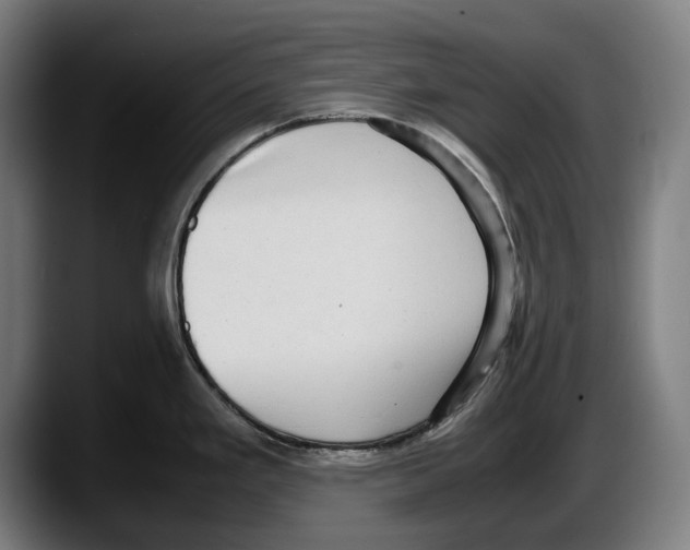 X0000087581293200705251833