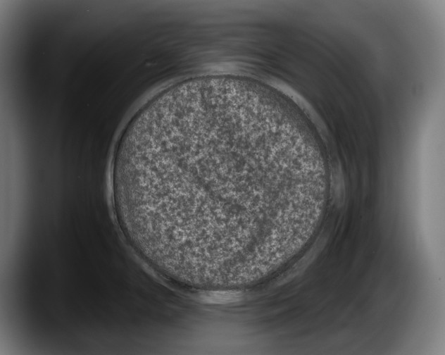 X0000087581294200705251833