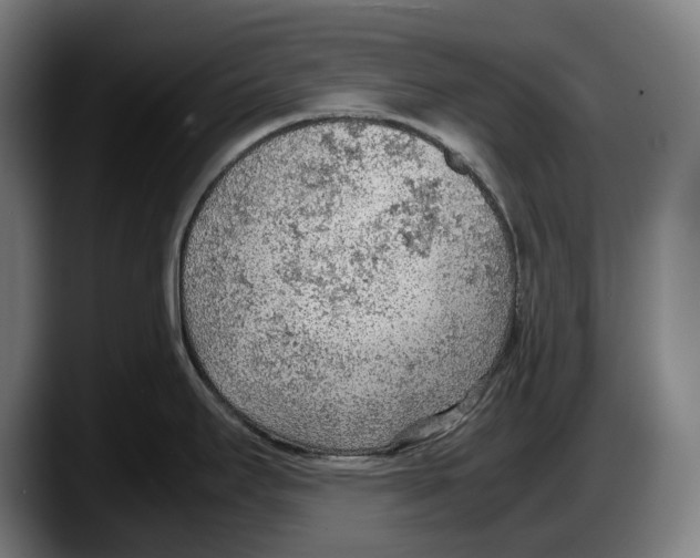 X0000087581295200705251833