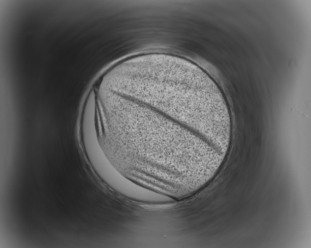 X0000087581296200705251833