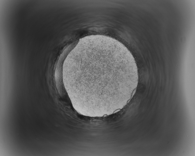 X0000087581297200705251833