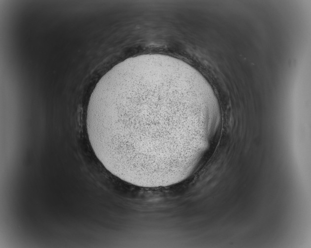 X0000087581301200705251833