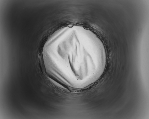 X0000087581302200705251833