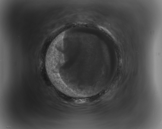 X0000087581303200705251833