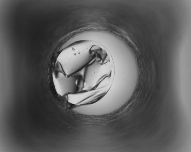 X0000087581304200705251833