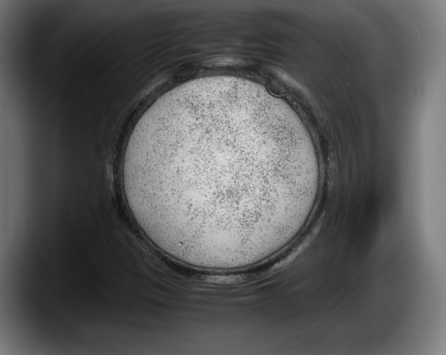 X0000087581305200705251833