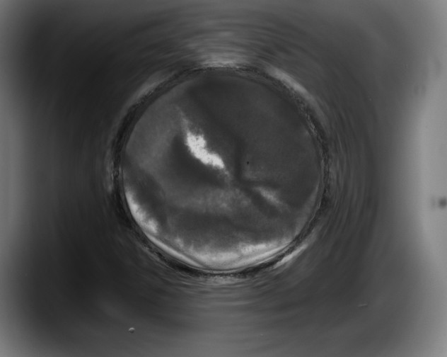 X0000087581306200705251833