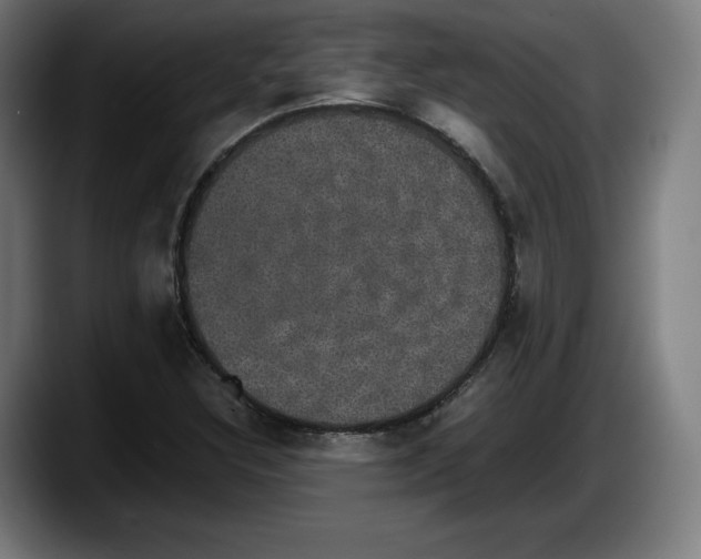 X0000087581308200705251833
