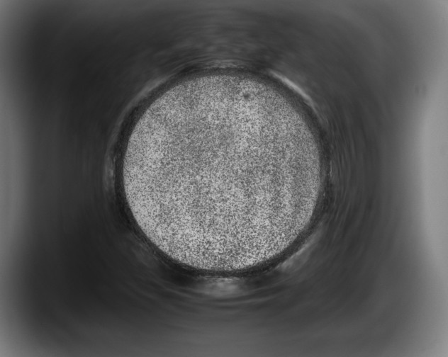X0000087581309200705251833