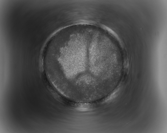 X0000087581310200705251833