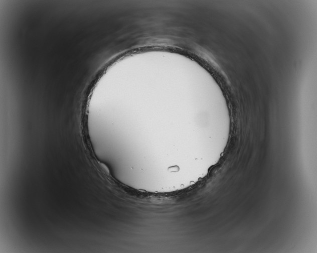 X0000087581312200705251833