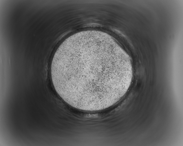 X0000087581313200705251833