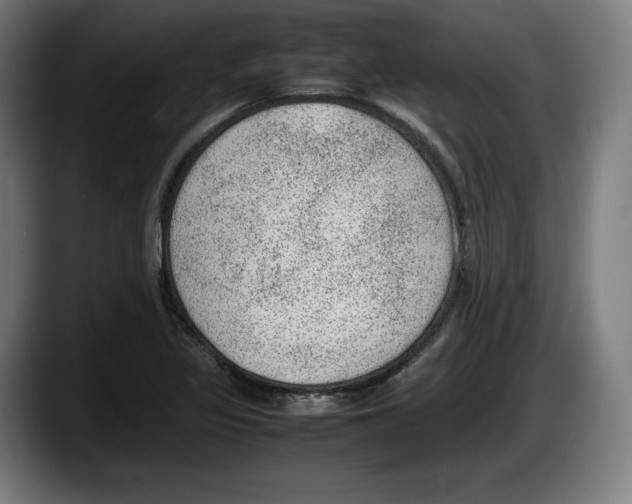 X0000087581317200705251833