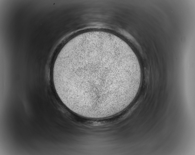 X0000087581318200705251833