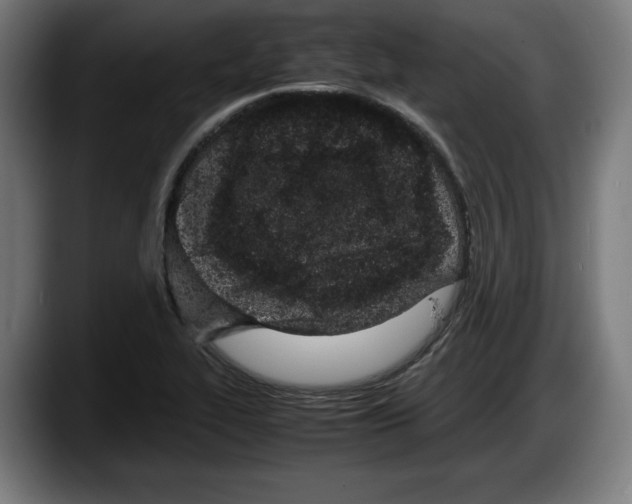 X0000087581319200705251833