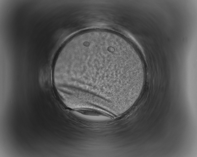 X0000087581320200705251833