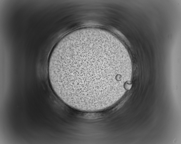 X0000087581322200705251833