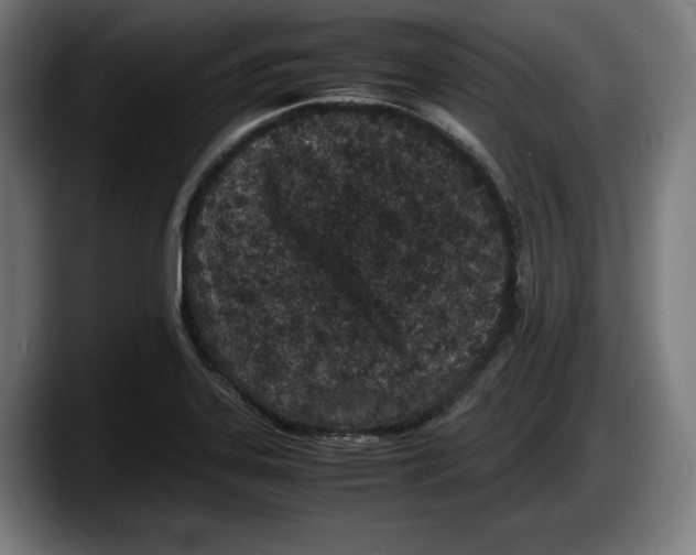 X0000087581323200705251833
