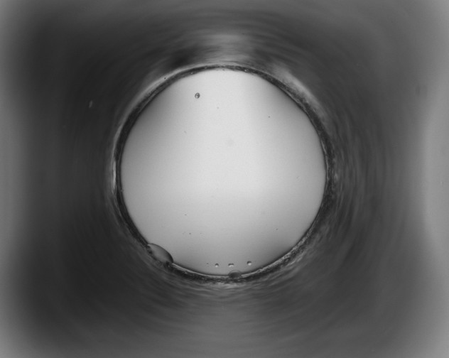 X0000087581324200705251833