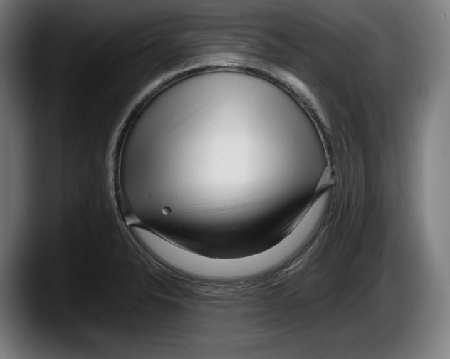 X0000087581326200705251833
