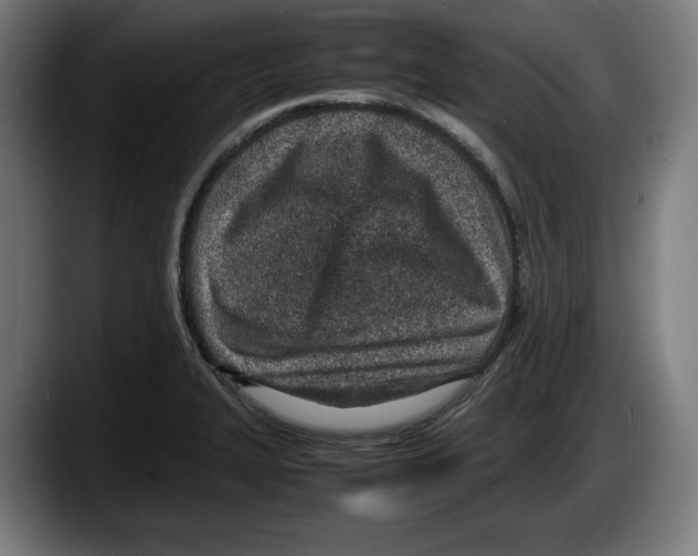 X0000087581327200705251833