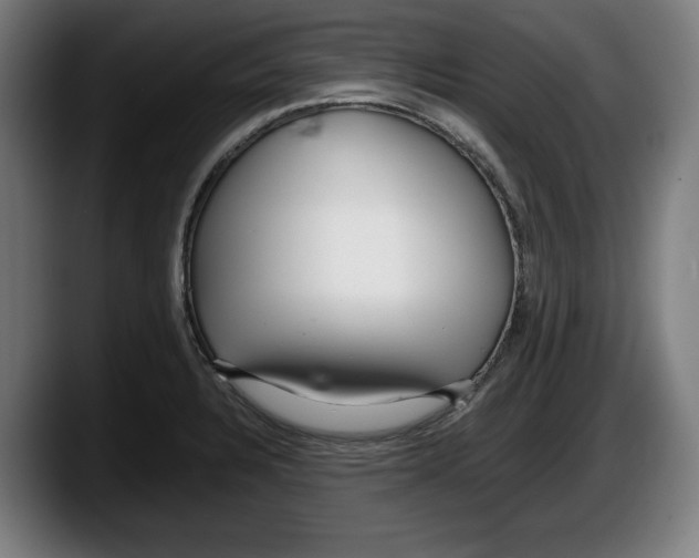 X0000087581328200705251833