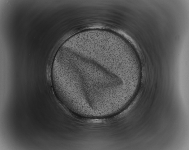 X0000087581329200705251833