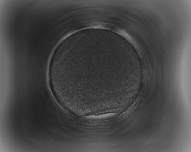 X0000087581331200705251833