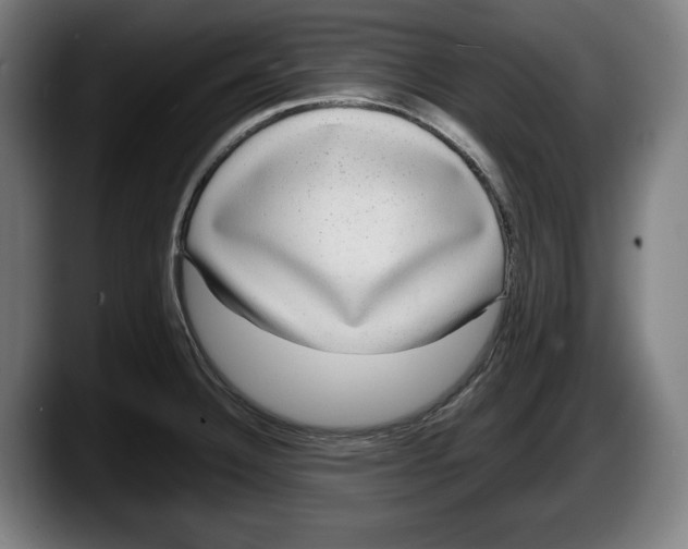 X0000087581332200705251833