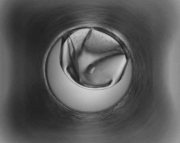 X0000087581334200705251833