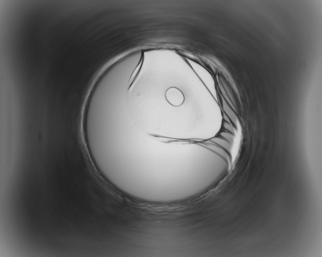 X0000087581336200705251833