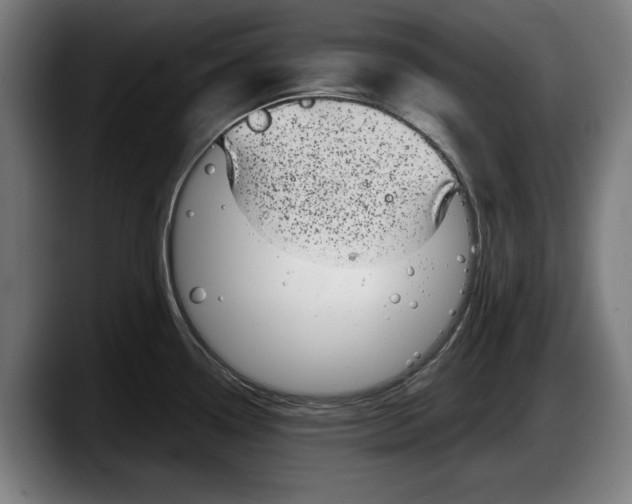 X0000087581338200705251833