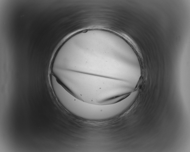 X0000087581340200705251833