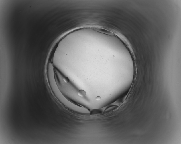 X0000087581344200705251833