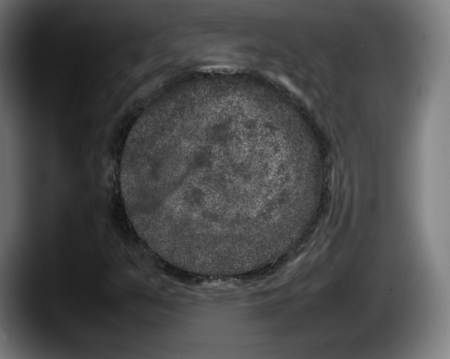 X0000087581351200705251833