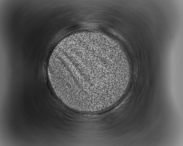 X0000087581354200705251833