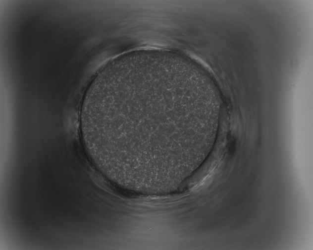 X0000087581355200705251833