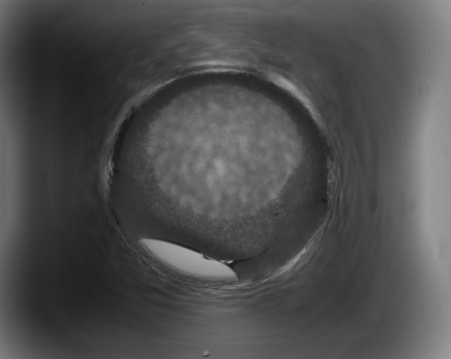 X0000087581357200705251832